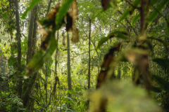 Costa_Rica-66